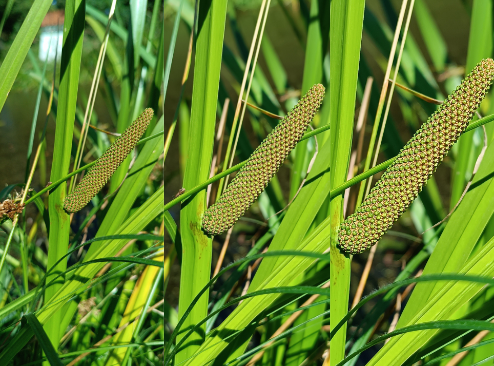 Vzkaz ženám pro chvíle selhání erekce