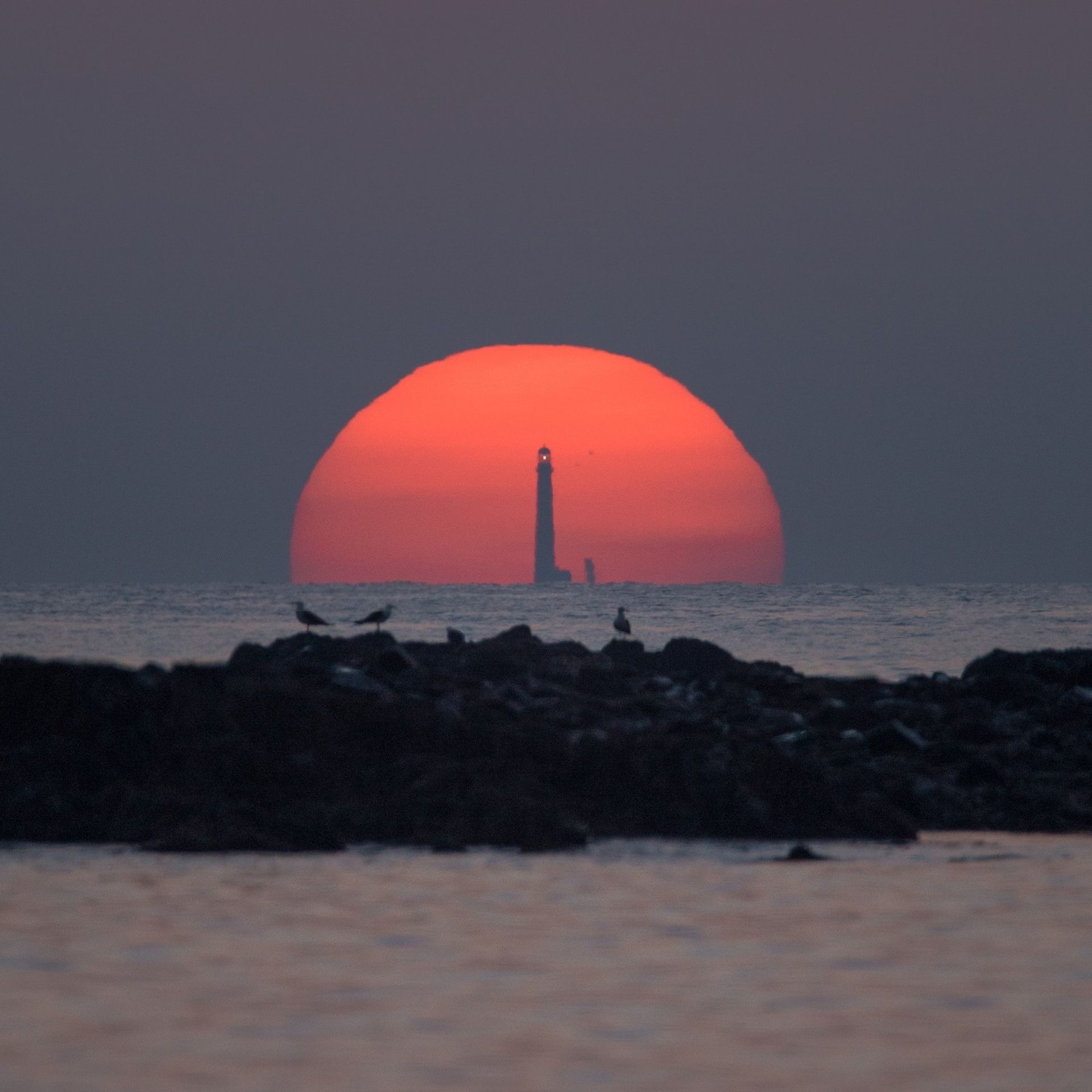 V módu přežití se nám erekce nehodí